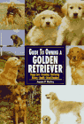 The Guide to Owning a Golden Retriever