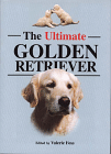 The Ultimate Golden Retriever