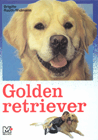 Golden Retriever - Brigitte Rauth-Widmann