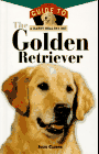 Golden Retriever - Julie Cairns